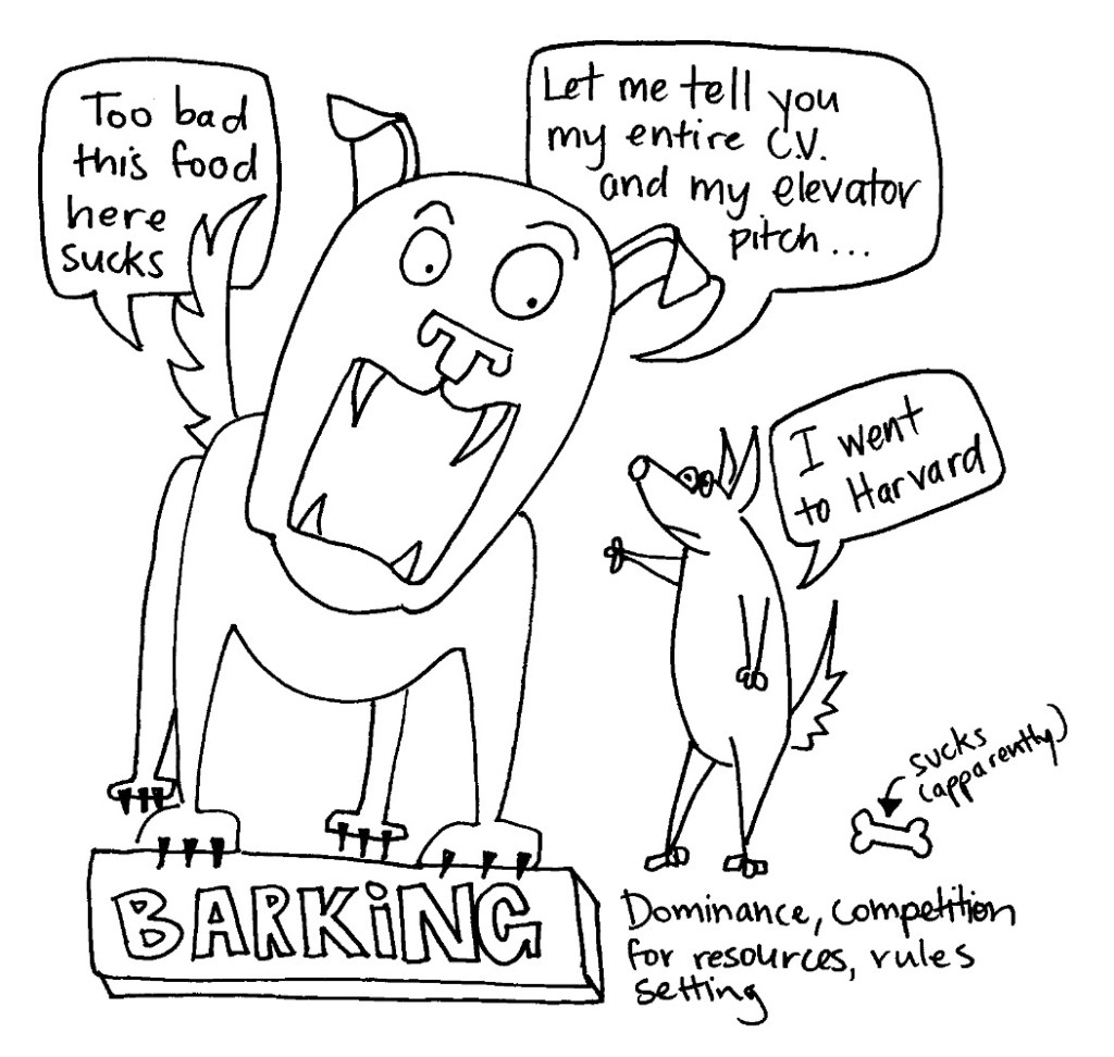Two cartoon dogs talking to each other. "Too bad this food sucks. Let me tell you my entire C.V. and my elevator pitch" "I went to Harvard." At the bottom, "Barking: dominance, competition for resources, rules setting."