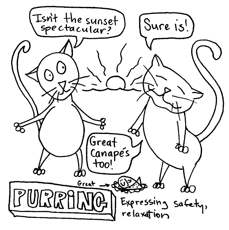 Two happy cartoon cats talking to each other. "Isn't the sunset spectacular?" "Sure is! Great canapés too!" At the bottom it says "Purring: Expressing safety and relaxation."
